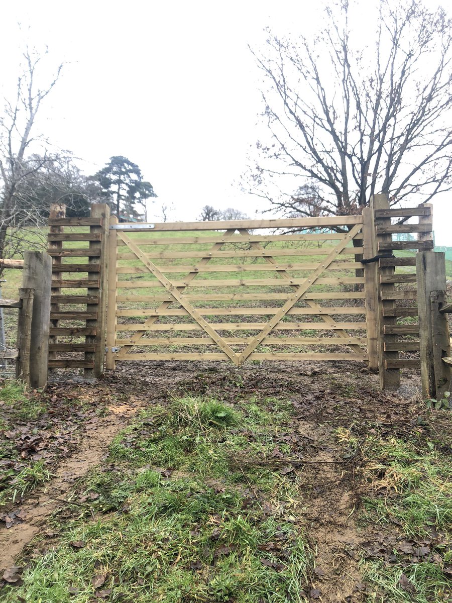 s_l_fencing's tweet photo. Just some of the 900m of deer fencing with rabbit netting along with 2 deer gates done for @TransformLands https://t.co/SkrsQ6GjAl https://t.co/TkNf6M7k3T