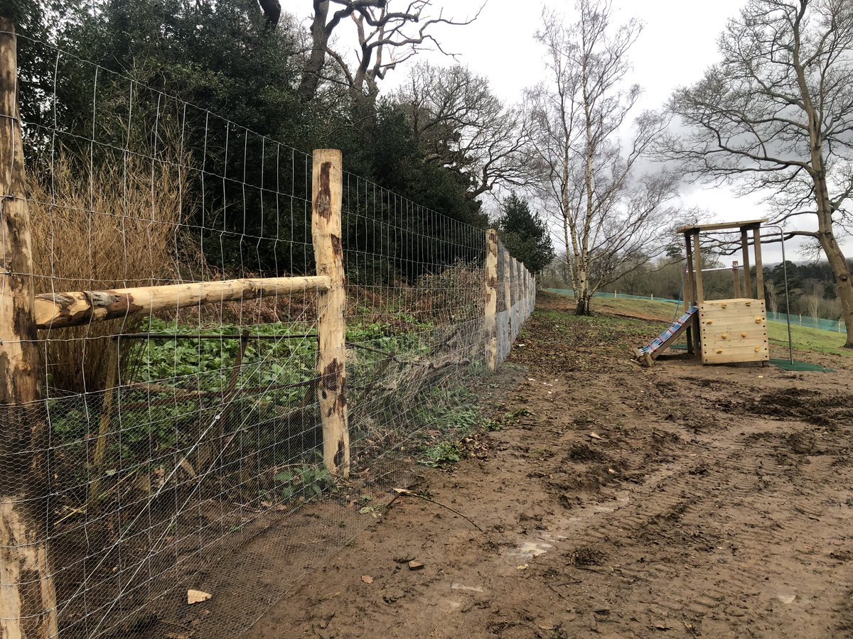 s_l_fencing's tweet photo. Just some of the 900m of deer fencing with rabbit netting along with 2 deer gates done for @TransformLands https://t.co/SkrsQ6GjAl https://t.co/TkNf6M7k3T