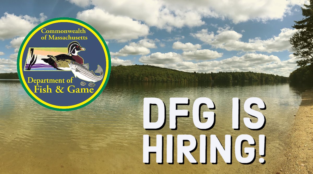 DFG is hiring.