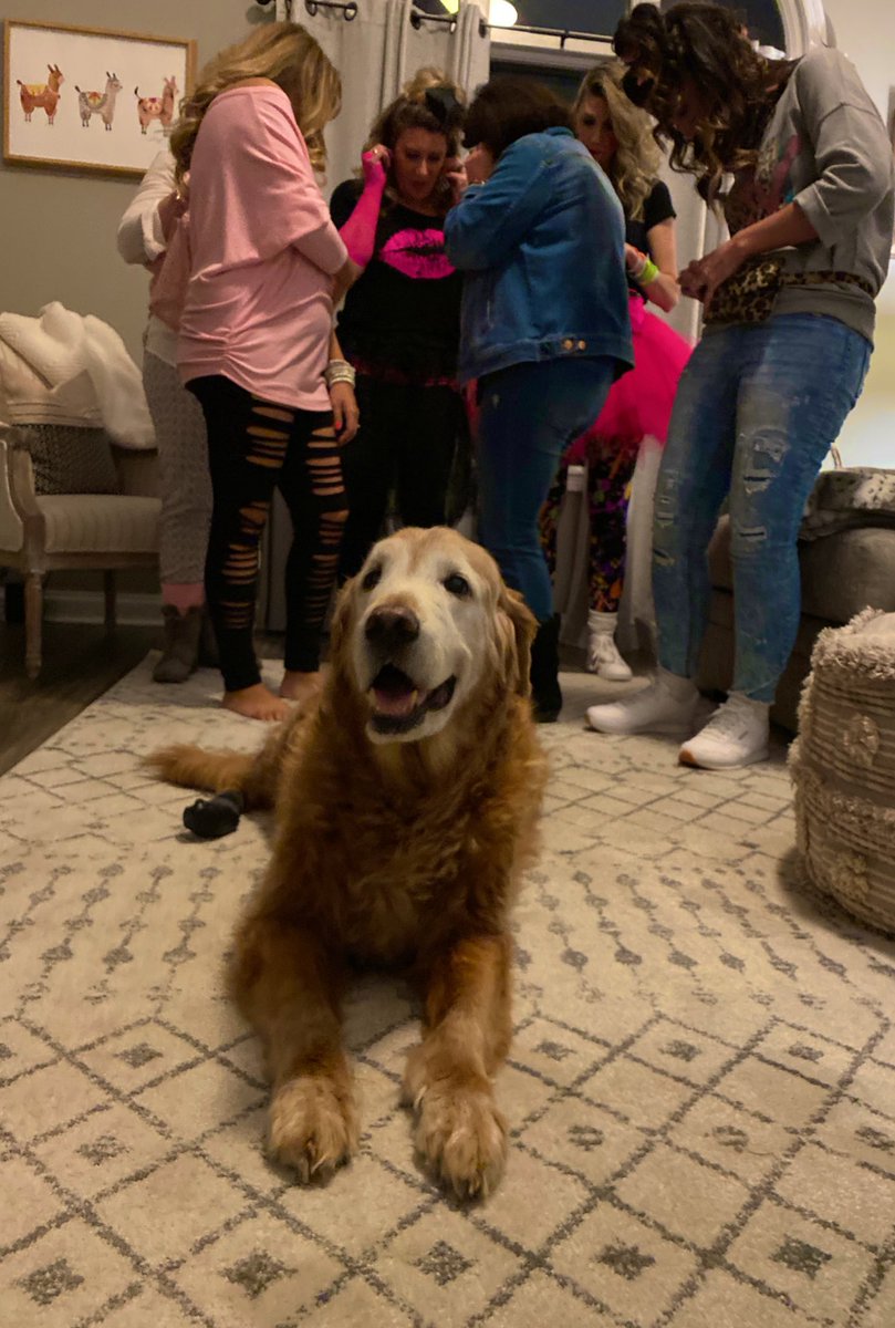 thedog_max's tweet photo. We did #80s night in da club! 🕺🏻 https://t.co/1Rg4FSy0bM