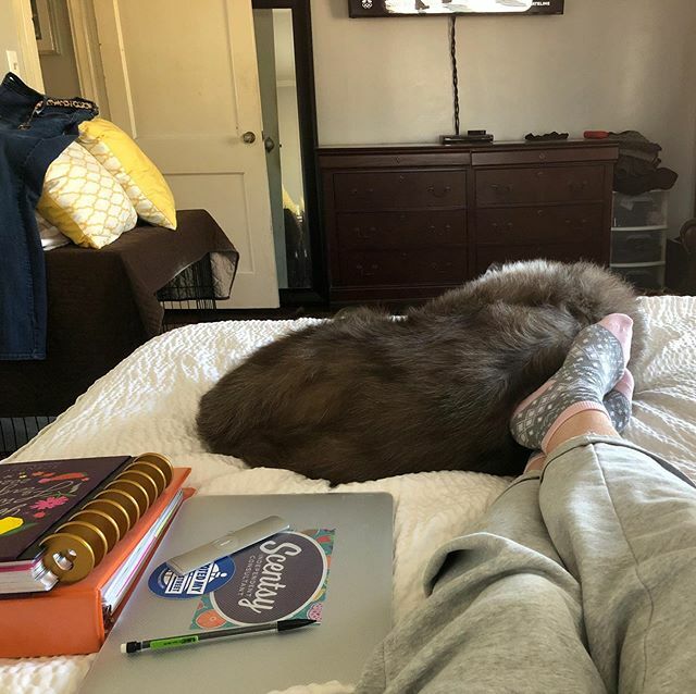 whittingtona's tweet photo. Really gotta give my hubs♥️, study partners🐾, and Dateline 🔍 major props for helping me get through one heck of a week. 🥵 🤧 Nothing like being sick, having two clinical rotations, SIM Lab, and many assignments due...how many more semesters?! 👩🏼‍💻 #nu… https://t.co/HzmEekzbVq https://t.co/WtxT00b6jw