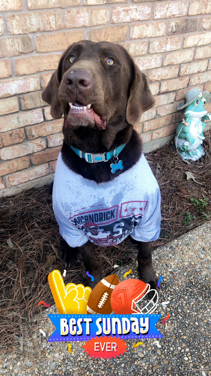 Shelley Brown tweet media