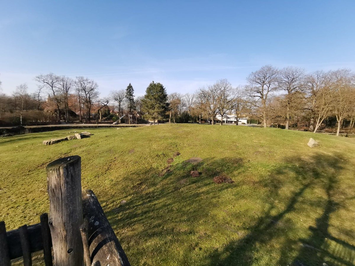 veenbrand's tweet image. In juni gaat het dan echt gebeuren.
Dan starten de voorstellingen in het mooie #Rensenpark Emmen.

Een tipje van de sluier, hoe de Savanne er dan uit zou kunnen zien.....

Early bird tickets voor deze legendarische voorstelling zijn vanaf nu te koop via onze website! #veenbrand