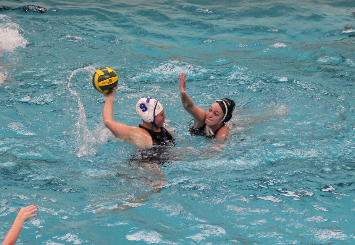 GV_WaterPolo's tweet photo. A few pics from this weekend 😎 https://t.co/kqkUJrbhth