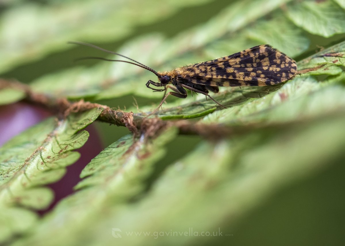 GmusicV's tweet image. Very springlike today! #springhasarrived