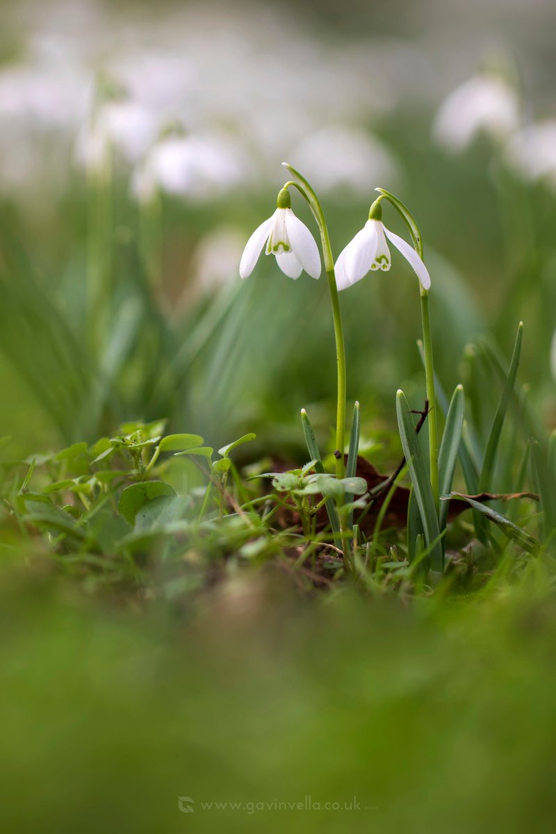 GmusicV's tweet image. Very springlike today! #springhasarrived