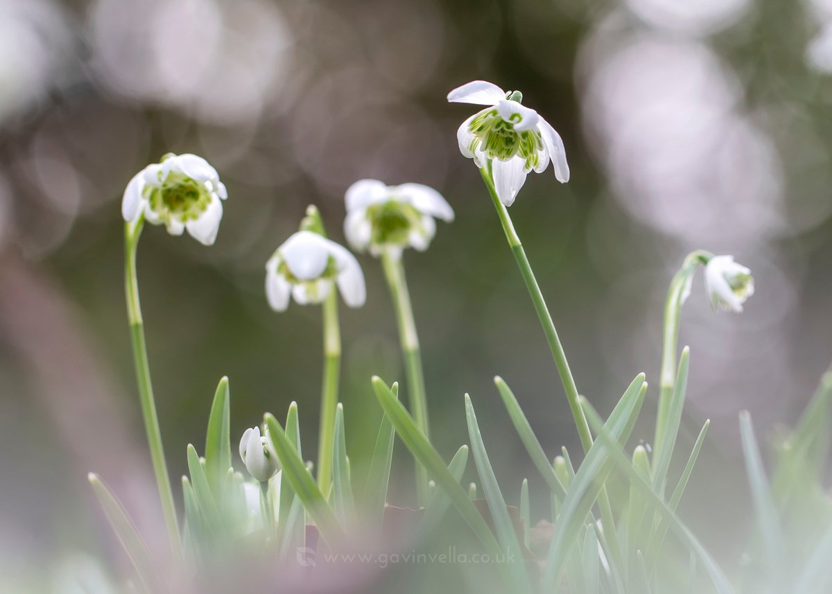 GmusicV's tweet image. Very springlike today! #springhasarrived