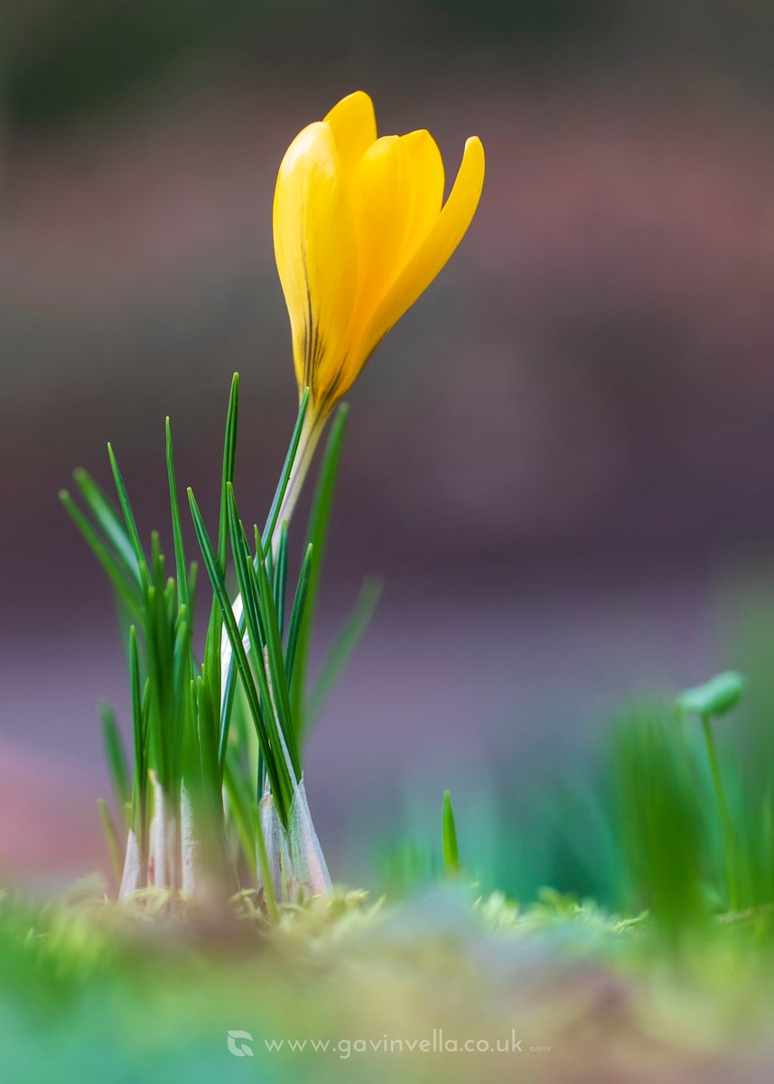 GmusicV's tweet image. Very springlike today! #springhasarrived