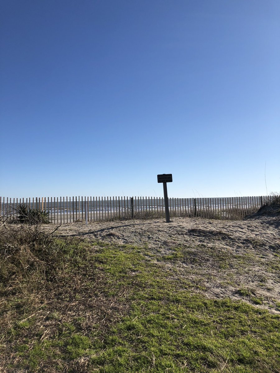 mattdrakeley's tweet photo. beautiful day out at kiawah #februarygolf 🐊 https://t.co/x3qbiMj7Sj
