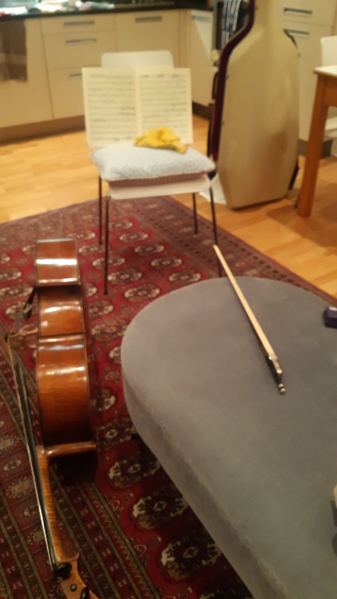 The Statutory Instruments - Parl'y String Quartet tweet media