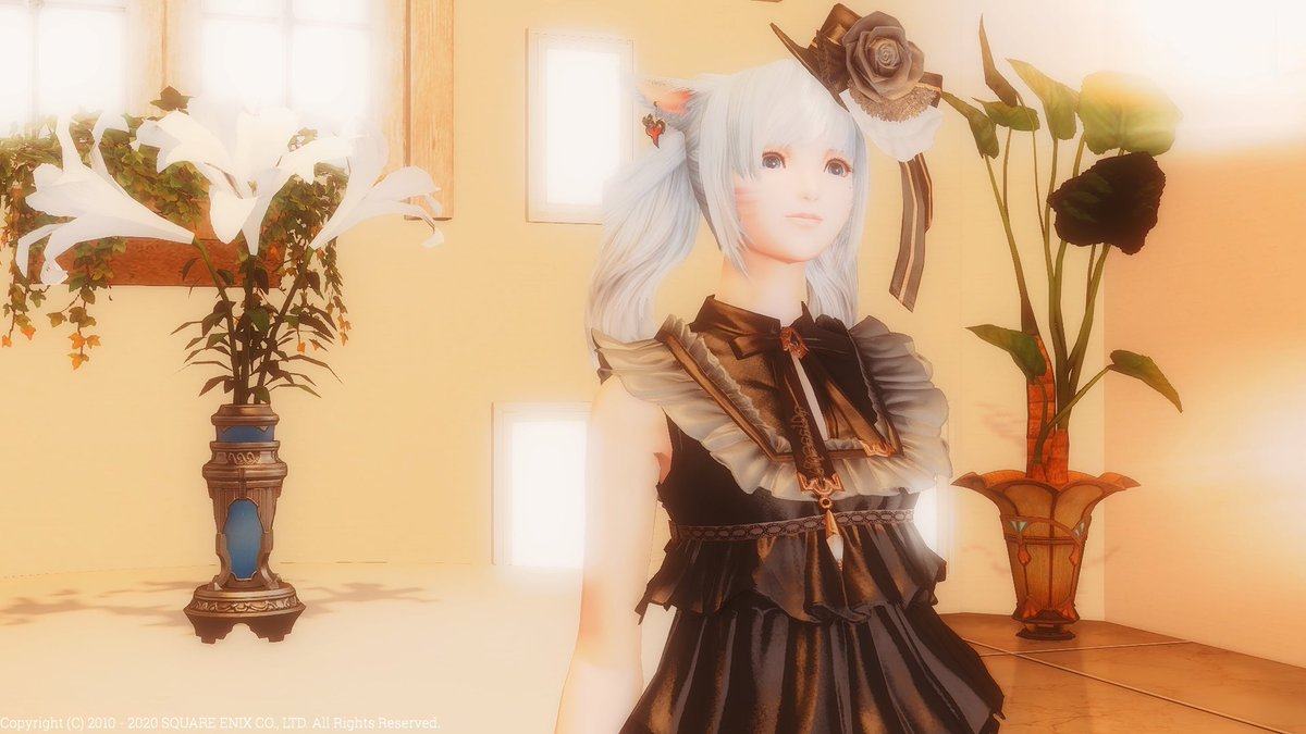 𝕙𝕒𝕜𝕦𝕣𝕚𝕟 𝕃𝕦𝕖𝕃𝕦𝕖 در توییتر おはよーございますっ 昨日はツインテールの日だったとゆーことなので1日遅れでとぅいんてーる W 私のff14人生初の髪型 がこのツインテで私にとっては思い出も深い大切な髪型 久々するとやっぱかわい