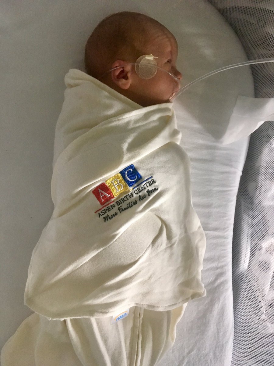 Fiona_Doc's tweet photo. Gutted to have missed #ksislet20 but I guess the @TheRussLab students can be forgiven for not letting me join them on their road trip through the desert ๐This little guy made an unexpected arrival early last week ๐ถ๐ผ #postdoclife #fmla https://t.co/VRjGRbwsLT