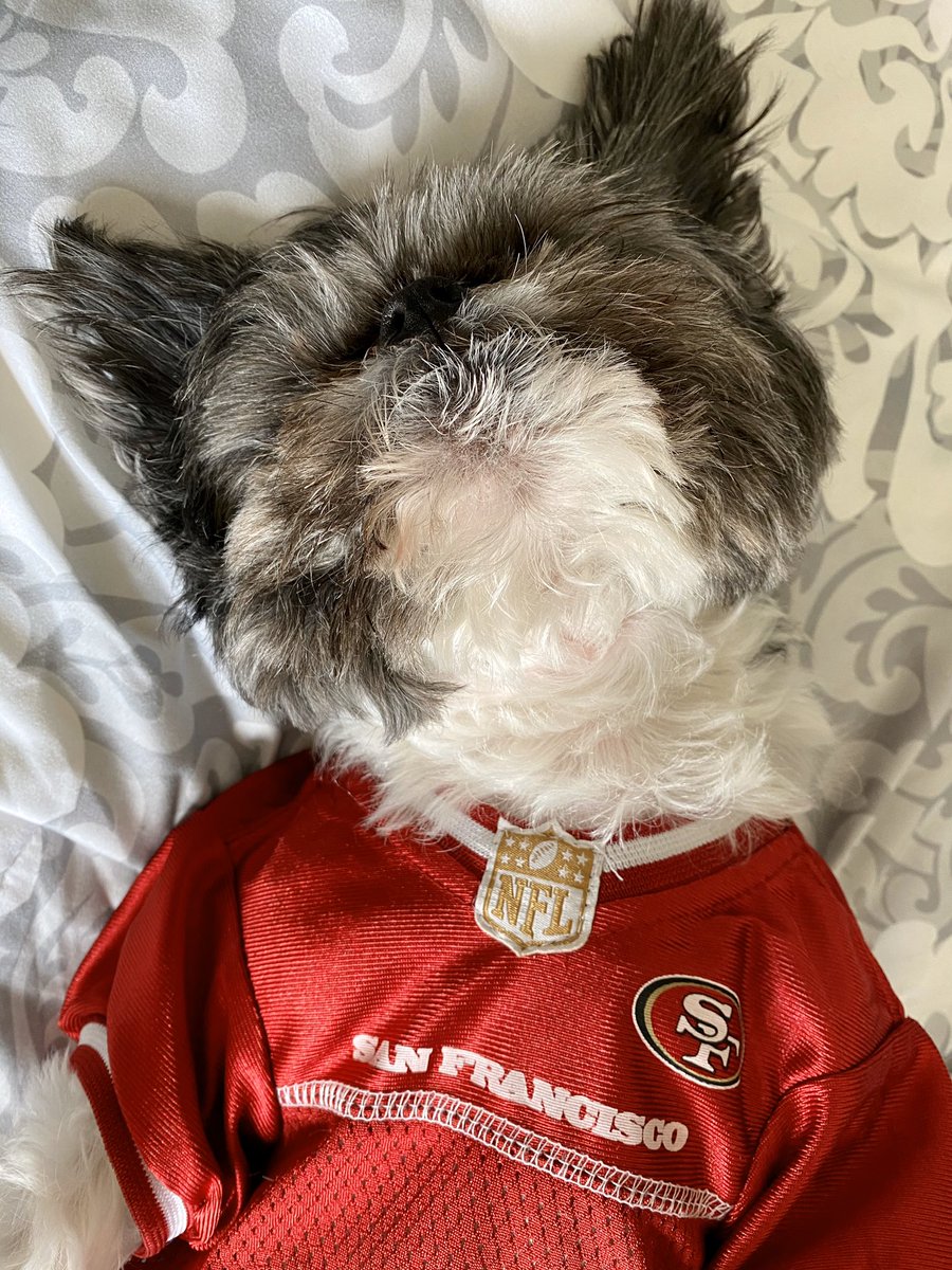 masongkai's tweet photo. We are Super Bowl ready #goniners https://t.co/YXACv3IwkT