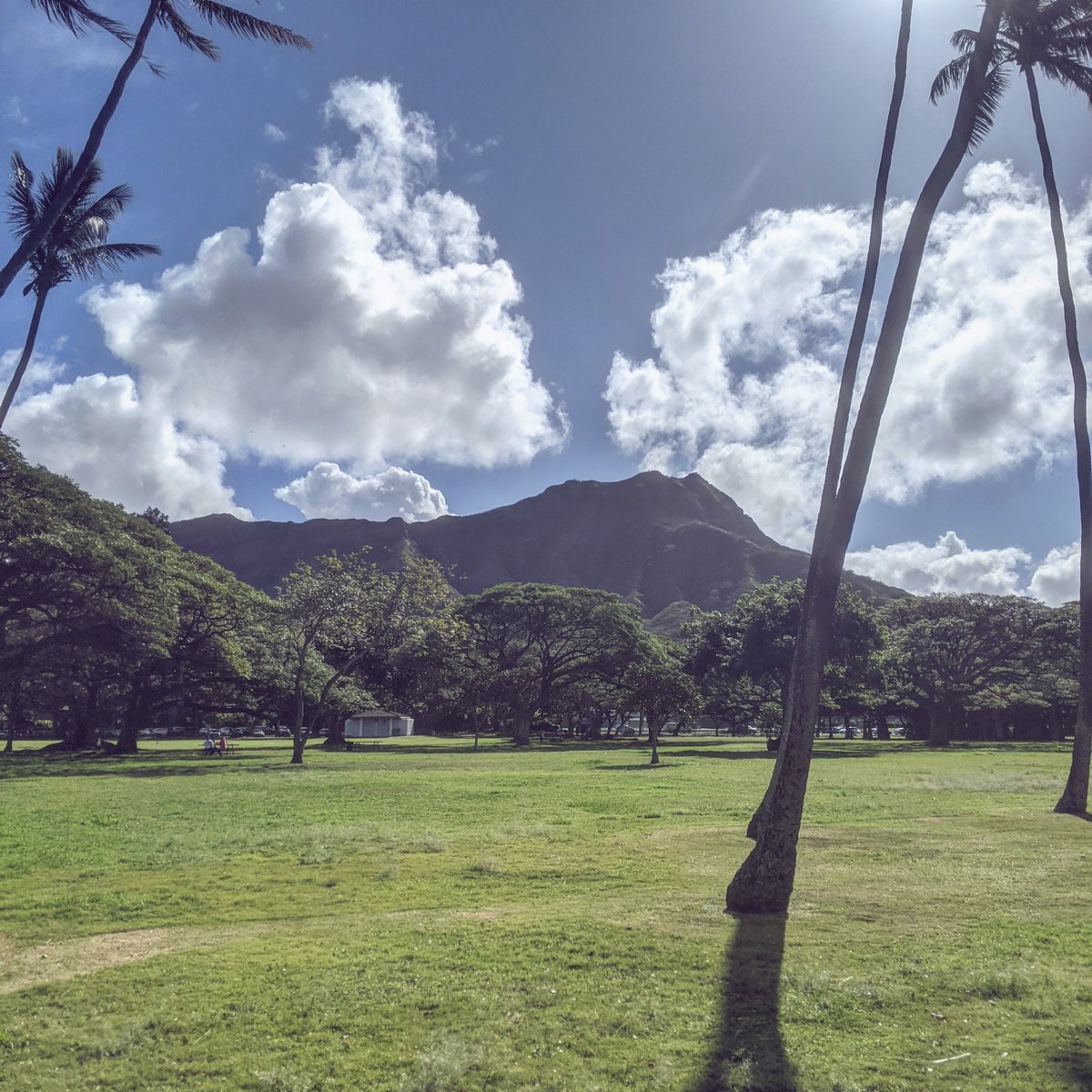 Diamond Head volcano from a park