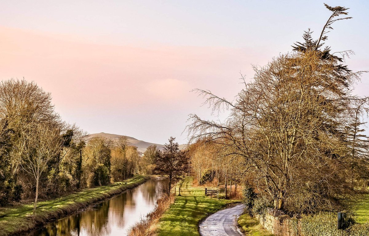 Mountlucas's tweet photo. #visitoffaly #countywalk #ireland #photography https://t.co/e3R4UqDQqr