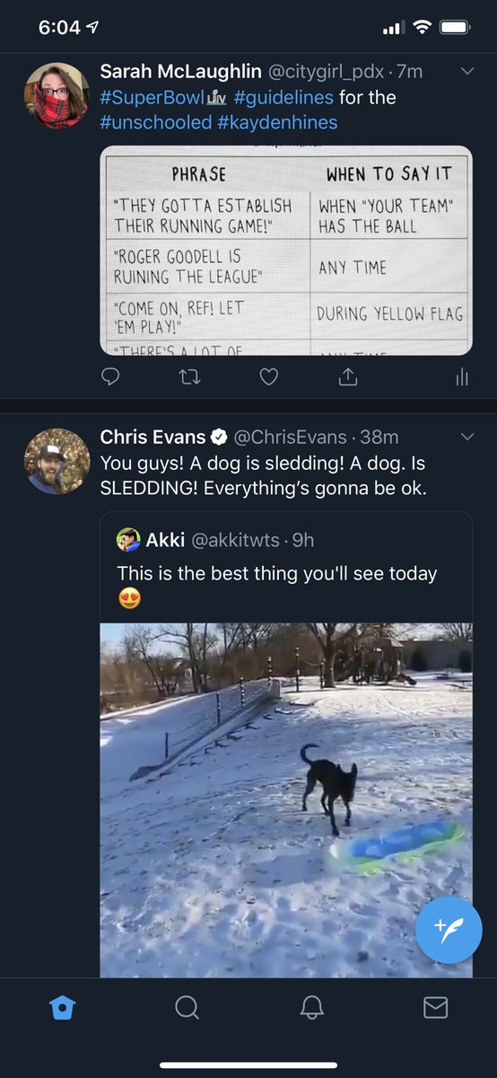NotedBySarah's tweet photo. I want to note for the record that while I’m posting how to fake knowledge of a #football game, @ChrisEvans is endearingly NOT faking enthusiasm for a #sleddingdog  .. and his post is directly below mine so there’s that. https://t.co/SI7fEfJXo6