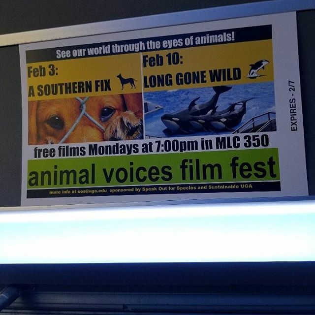 SOS_UGA's tweet photo. A SOUTHERN FIX is a film about how we can end the unnecessary killing of adoptable shelter animals. The film explores an American tragedy that leaves over 3 million dead annually. That’s the approximate number of healthy dogs and cats euthanized in U.S. … https://t.co/WUqbeIa5CG https://t.co/2v33ekwCfE