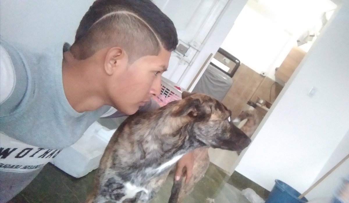 guahineitor's tweet photo. Mi mama : ese animal solo sabe comer,  cagar y dormir, no hace nada productivo 
Mi perra y yo pensando a cual de los dos le dijo : https://t.co/MIhlIZxYBD