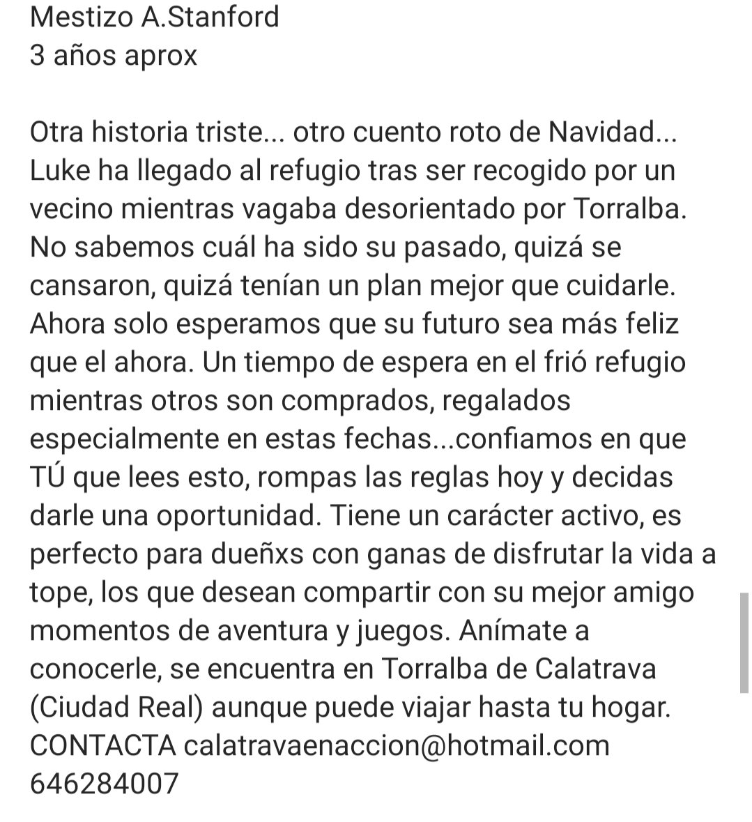 Calatrava en Acción tweet media