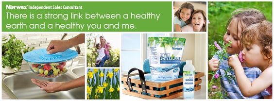 ToTorbay's tweet photo. Julie Hore - Norwex Independent Sales Consultant will be showcasing her eco-friendly household and personal care products.

If you are interested in reducing the amount of chemicals you use in your house she is your lady. https://t.co/ulGRlpsVyB