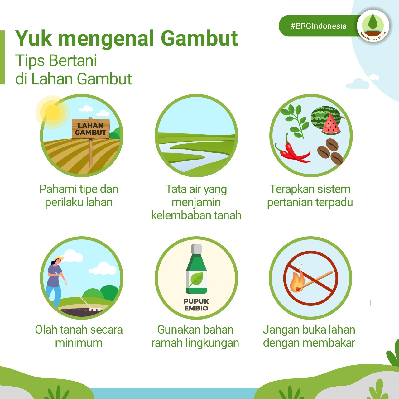 Brgm Indonesia On Twitter Siapa Bilang Kita Tidak Bisa Sukses Bertani Di Lahan Gambut Dengan Cara Yang Tepat Banyak Loh Yang Bisa Sukses Yuk Simak Tips Singkatnya Yukmengenalgambut Pertanian Gambut Brgindonesia Ayojagagambut