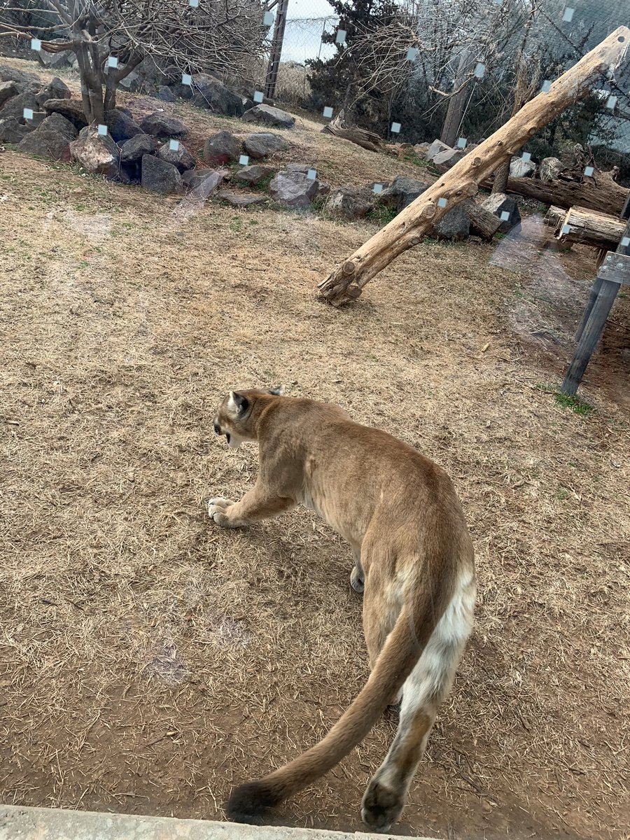 #zooday with mommy and daddy❤️👑