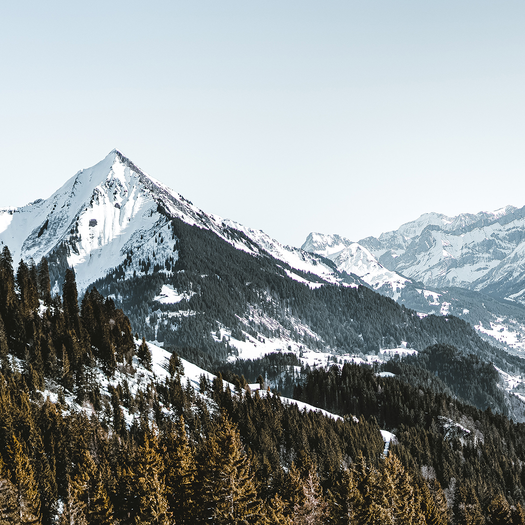 miomarinofans's tweet photo. Focus on how far you have progressed, not how far you still need to go.

📸 = @nader.arman
..
#goplaces #miomarino #travel #experience #explore #theworld #switzerland #mondaymotivation #motivationmonday #qotd https://t.co/fdUEKOgB5a