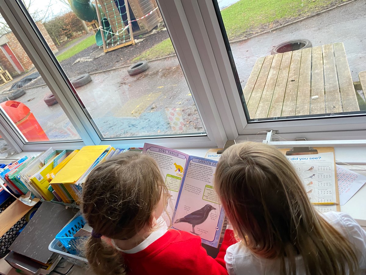 P3/4/5 taking part in the Big School Bird Watch this afternoon! We have been learning about data collection and will be turning our information into graphs! #bigschoolbirdwatch