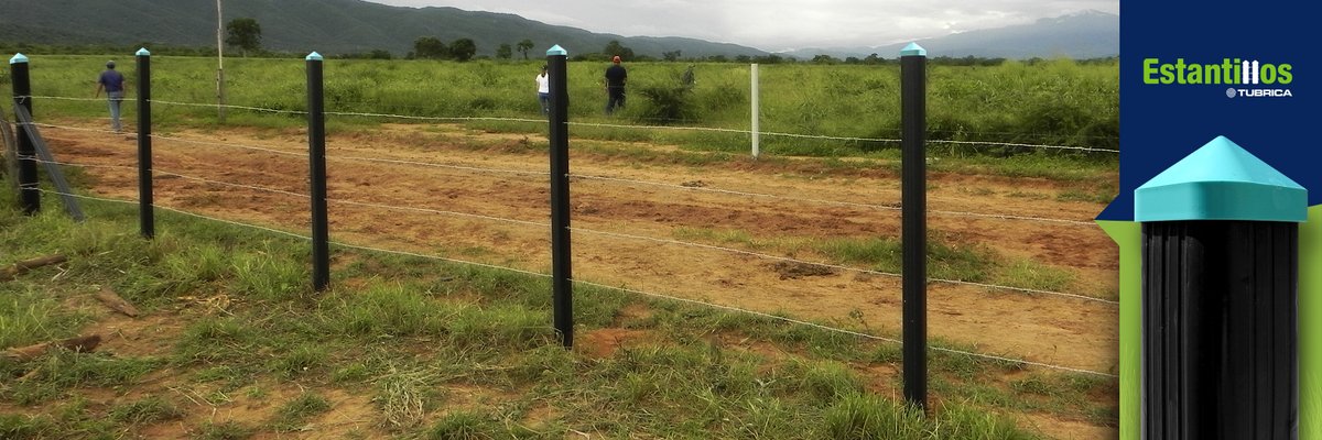 Tubrica's tweet photo. Un atractivo distinto y un producto único en el mercado.
#Estantillos #Tubrica https://t.co/iC9XQ1b9De