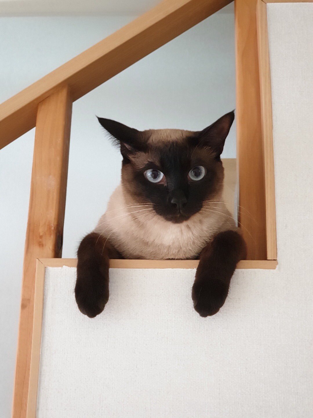 EQ-1kubUUAEvAF9?format=jpg&name=large