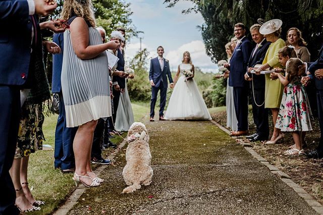 Patiently waiting for mom and dad 🥰 We love when your fur babies join you on your wedding day, especially when they are as gorgeous as @miss_charlie_the_teddy ❤️❤️ #dogsatweddings #furbaby #dogfriendly <a href="/martin/">Martin Toha</a>.phelps.weddings ift.tt/2SKqRBq