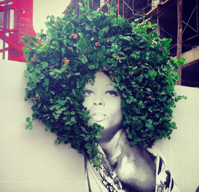 PIC_DefiantOnes's tweet photo. Natural Hair Should Be Protected By Law &amp; Don’t Ask (White) Men About It - https://t.co/9NUtXfXo0f https://t.co/8Pe4zXF30f