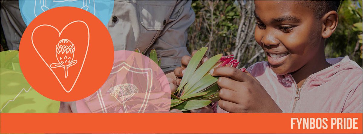 TMF is currently calling for concept proposals which align to our Pride Programme, to find out more about the application process visit: thetablemountainfund.org.za/call-for-pride… 

#FynbosPride #FynbosForever