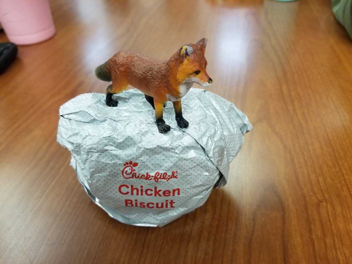 LabSafely's tweet image. P. D. Fox at his morning P.D.