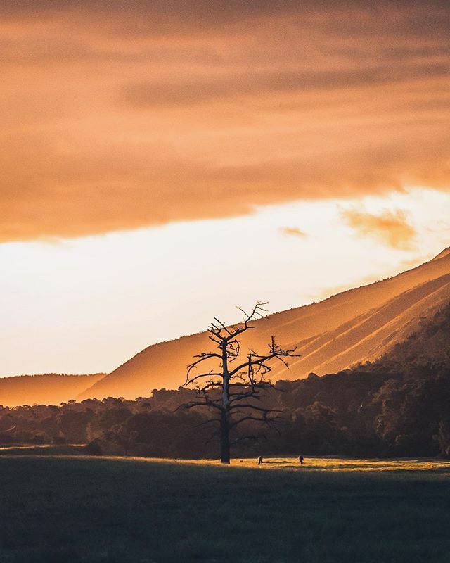 gavp18's tweet photo. Wish I had had a zoom lens for this shot. .
.
.
.
.
#bevisuallyinspired #milliondollarvisuals #visualsmovement #houseoftones #all2epic #visualseduction #trappingtones #unlimitedplanet #folkscenery #leagueoflenses #earthexperience #alifealive #mashpics #o… https://t.co/ktmEuAJnIj https://t.co/f2zUzO1ixP