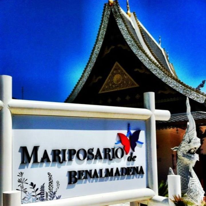 ¡Desde el #MariposariodeBenalmádena os deseamos un Feliz Día!
#mariposas
From the #ButterflyParkBenalmadena we wish you a very happy day!
#BenalmadenaPueblo
