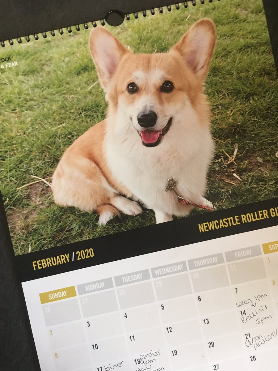 nclrollerderby's tweet image. Sherlock from @TyneAndFear is our Mr February! We’d love to see your #dogsofderby calendar pics 🐶