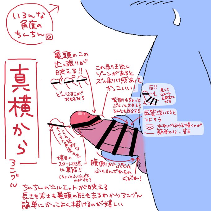 【R18/資料】いろんな角度のちんちん 〜真横からアングル〜 