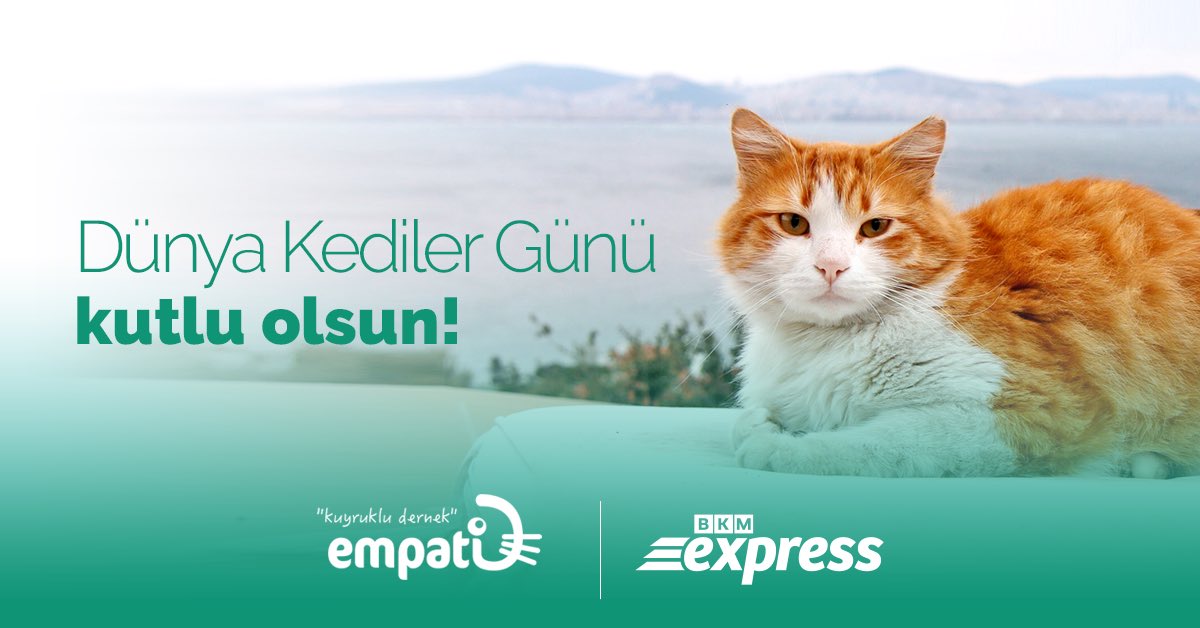 Bugün Dünya Kediler Günü!
Sokaklardaki canlıların daha iyi bir yaşam sürdürebilmeleri için Empati Derneği’ne bağış yaparak destek olabilirsin! <a href="/empatiorg/">Empati Derneği #BirlikteYaşıyoruz</a> 
Bağış linki👉🏻bkm.bz/empati_dernegi
