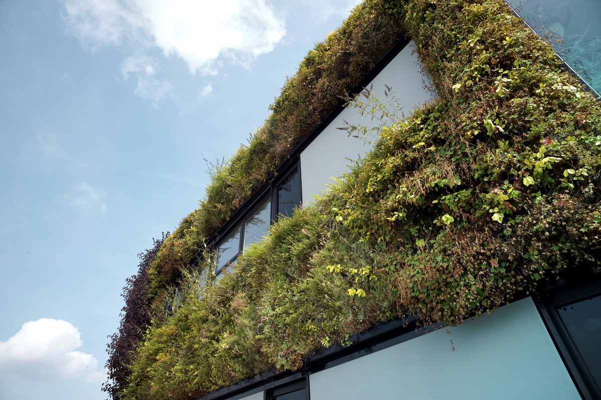 De Provinciale Commissie Leefomgeving (PCL) adviseert de provincie Utrecht om het inspelen op #klimaatverandering een hoge prioriteit te geven en hiervoor voortvarend een programma te ontwikkelen met groen in de hoofdrol. Lees het advies: provincie-utrecht.nl/adviespcl