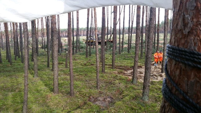 HambiBleibt's tweet photo. @baumpiratinnen meldeten: "Tesla-Wald bei Grünheide besetzt! Ordnungsamt und Polizei sind schon vor Ort und haben die BesetzerInnen bereits aufgefordert selbstständig zu gehen." (Tweets sind verschwunden) #besetzten #gigafactory #grünheide #hambibleibt https://t.co/AxCvAbamLr