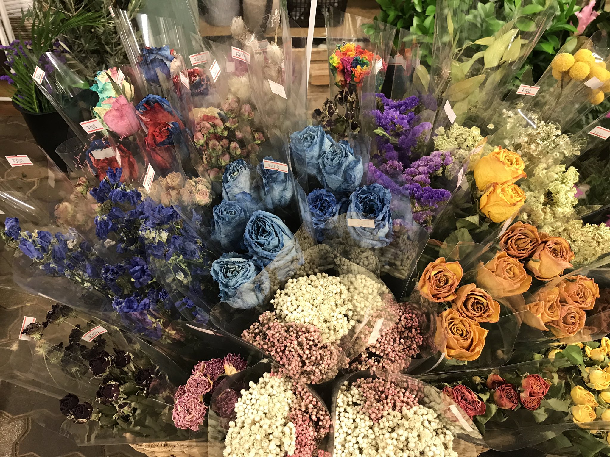 東伏見 Hana Toyo 自家製ドライフラワー 大好評 たくさん出来ています 生花とはまた違う雰囲気のある ドライを是非 お値段もリーズナブル トリコローズのドライもありまーす 東伏見 ドライフラワー 西武新宿線 ロスフラワー T Co