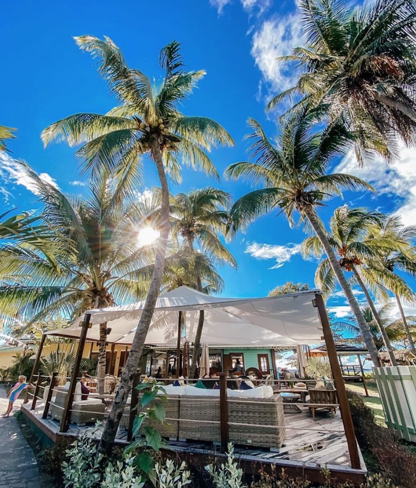 Essential Detail tweet media