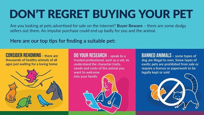 Battersea_PA's tweet photo. Today the Pet Advertising Advisory Group #PAAG are launching their new #HowToBuyAPet checklist to help make sure you #DontRegretYourPet 

Find out more here 👉https://t.co/hVnPq9Qj1E https://t.co/enOsrnpWHo