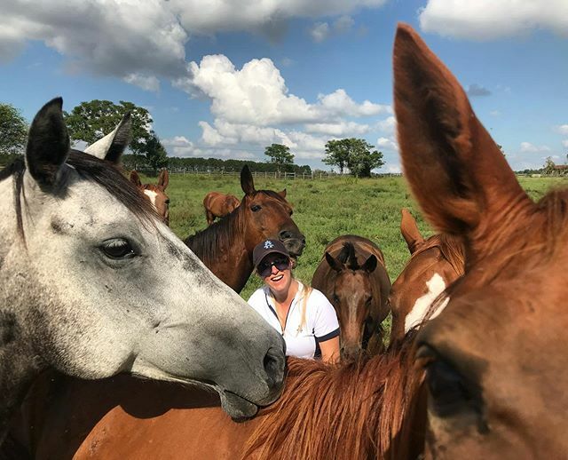 “Where’s Waldo” PPP edition🤣 But honestly, is there a better place to be than surrounded by horses?? I don’t think so!🐴💗⁣

Wearing my @hurlingham_uk polo and cap👌🏼⁣

#throwback #tbt #polopeopleplaces #poloplayerinthemaking #learningtoplaypolo #polo… ift.tt/3bJ5Aku