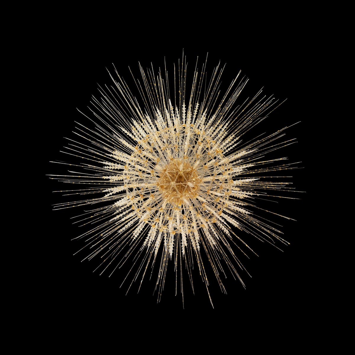 WIREDScience's tweet photo. Between the 1860s-1890s, father-and-son glassworkers Leopold and Rudolf Blaschka created thousands of anatomically correct models of marine invertebrates. They're so delicate it could be mistaken as a real sea creature. https://t.co/11fKrqeiux https://t.co/3NnZE9tpwc