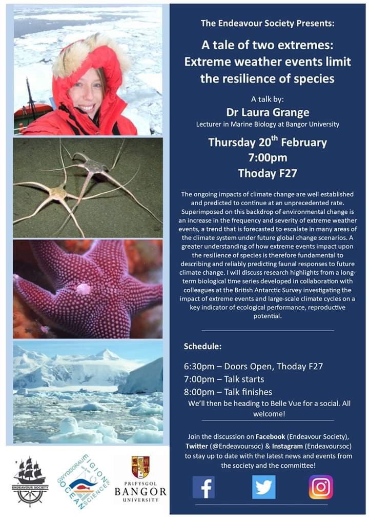 Endeavour Society tweet media