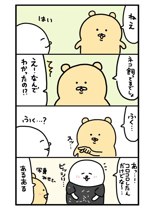 確かにコロコロしたんだけどな…? 