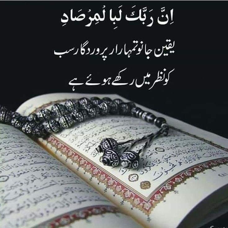 IPeerzade's tweet photo. https://t.co/Dq51vuVpSd