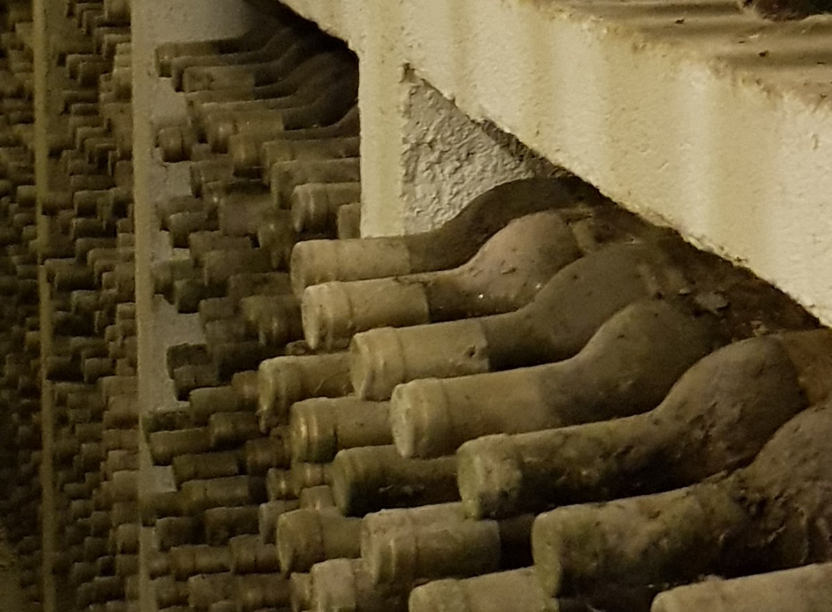 Bodegas Protos tweet media